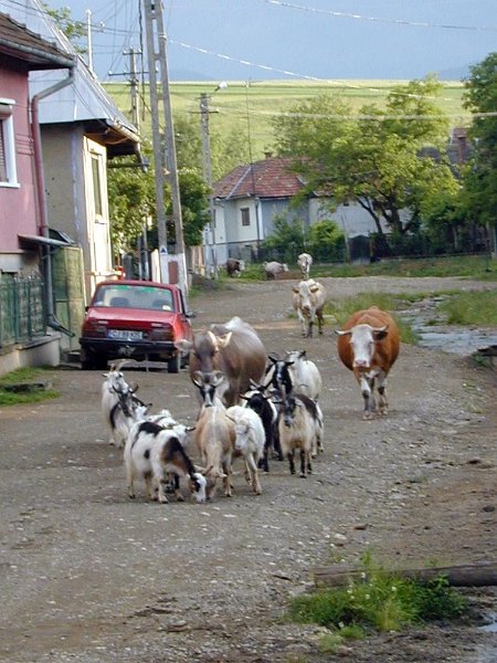 DSCN5540 (web).jpg